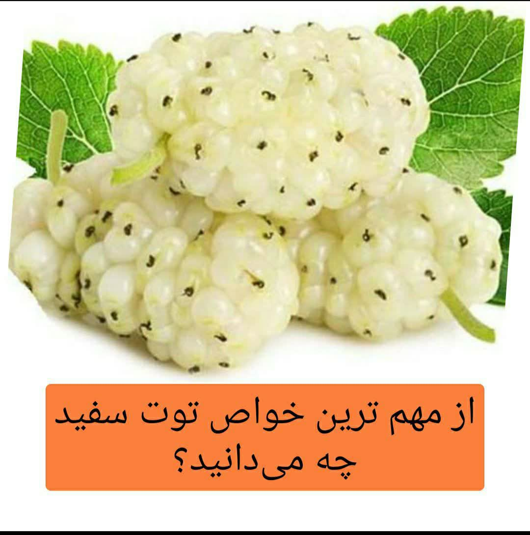 توت سفید معجزه ای برای دیابت!