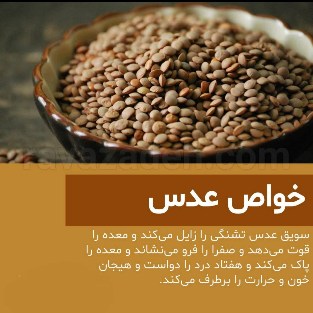 خواص عدس
