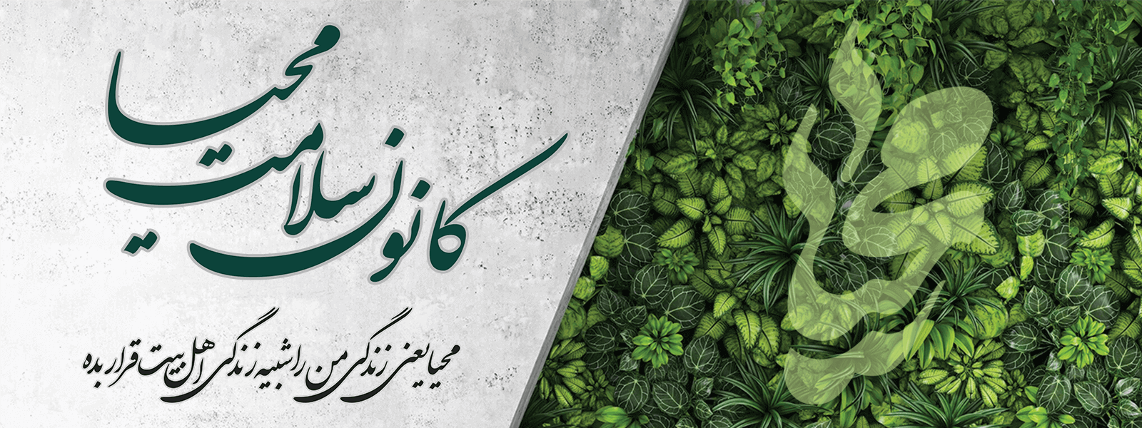 گروه رسانه محیا