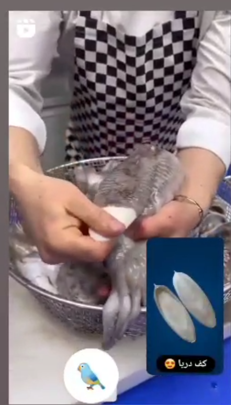 نکات مهم در مورد کف دریا