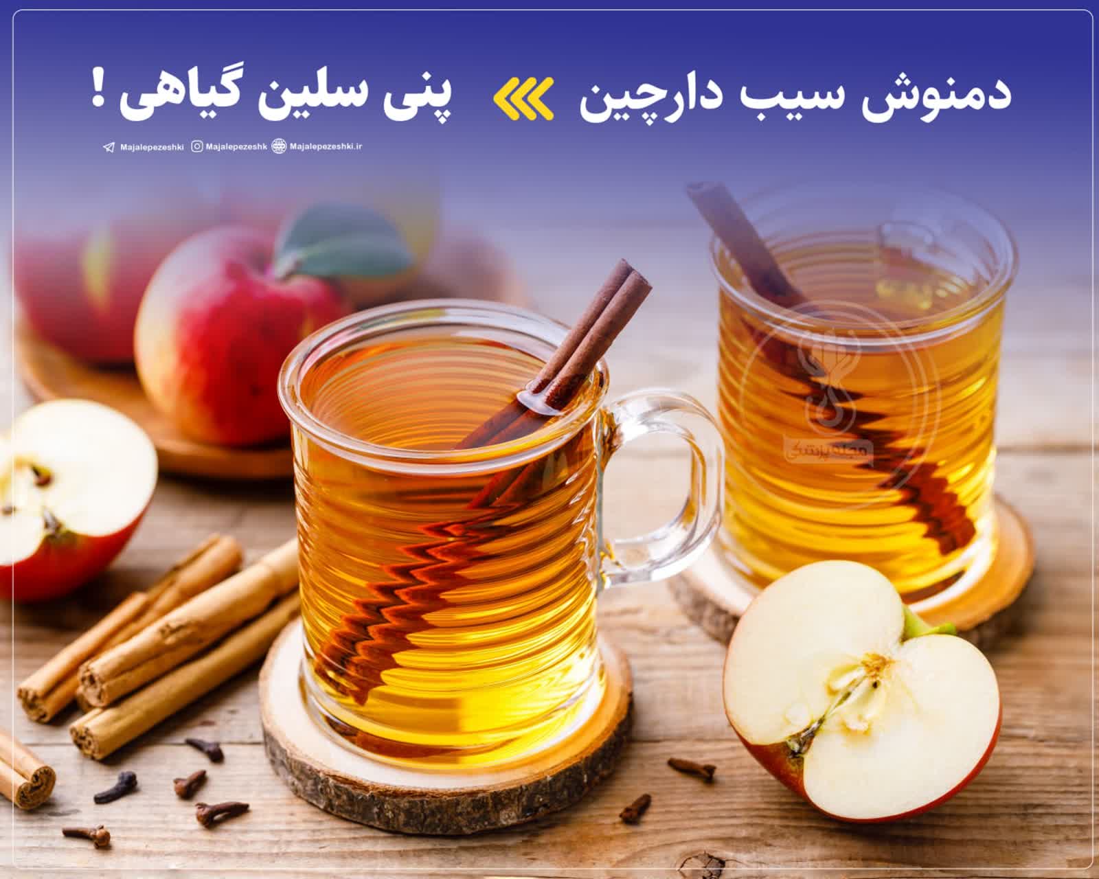 آنتی بیوتیک طبیعی و آرامش بخش برای رفع خستگی